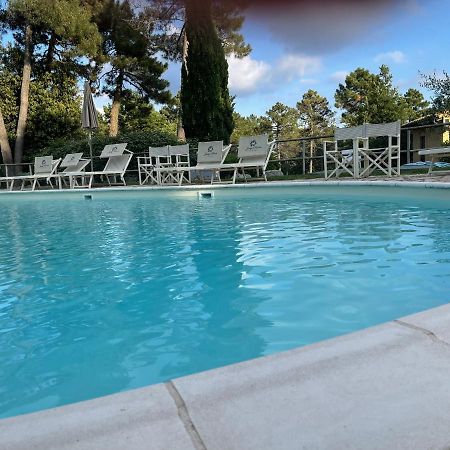 Apartament Tuscany Relax H&H - Helly House San Vivaldo Zewnętrze zdjęcie